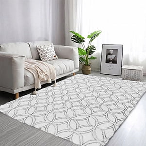 OldPAPA Soft Fluffy Area Rug Modern Shaggy Bedroom Rugs for Kids Room Nursery Rug Floor Carpets